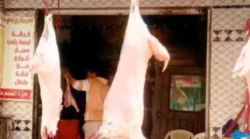 تبدأ من 220 جنيهاً.. أسعار اللحوم في أسواق كفر الشيخ اليوم الأحد